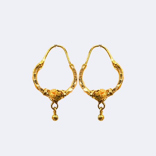 Golden Whisper Earrings-RDJE09